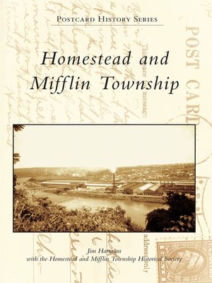 Homestead and Mifflin Township - ebook
